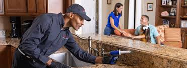 Best Real Estate Pest Inspections  in Moss Bluff, LA