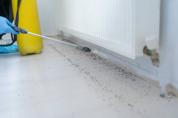 Best Pest Exclusion Services  in Moss Bluff, LA